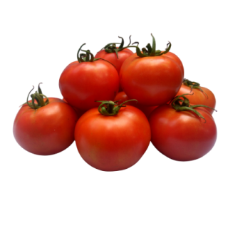 Season Red Tomato From Known You Seed (India)-KYI